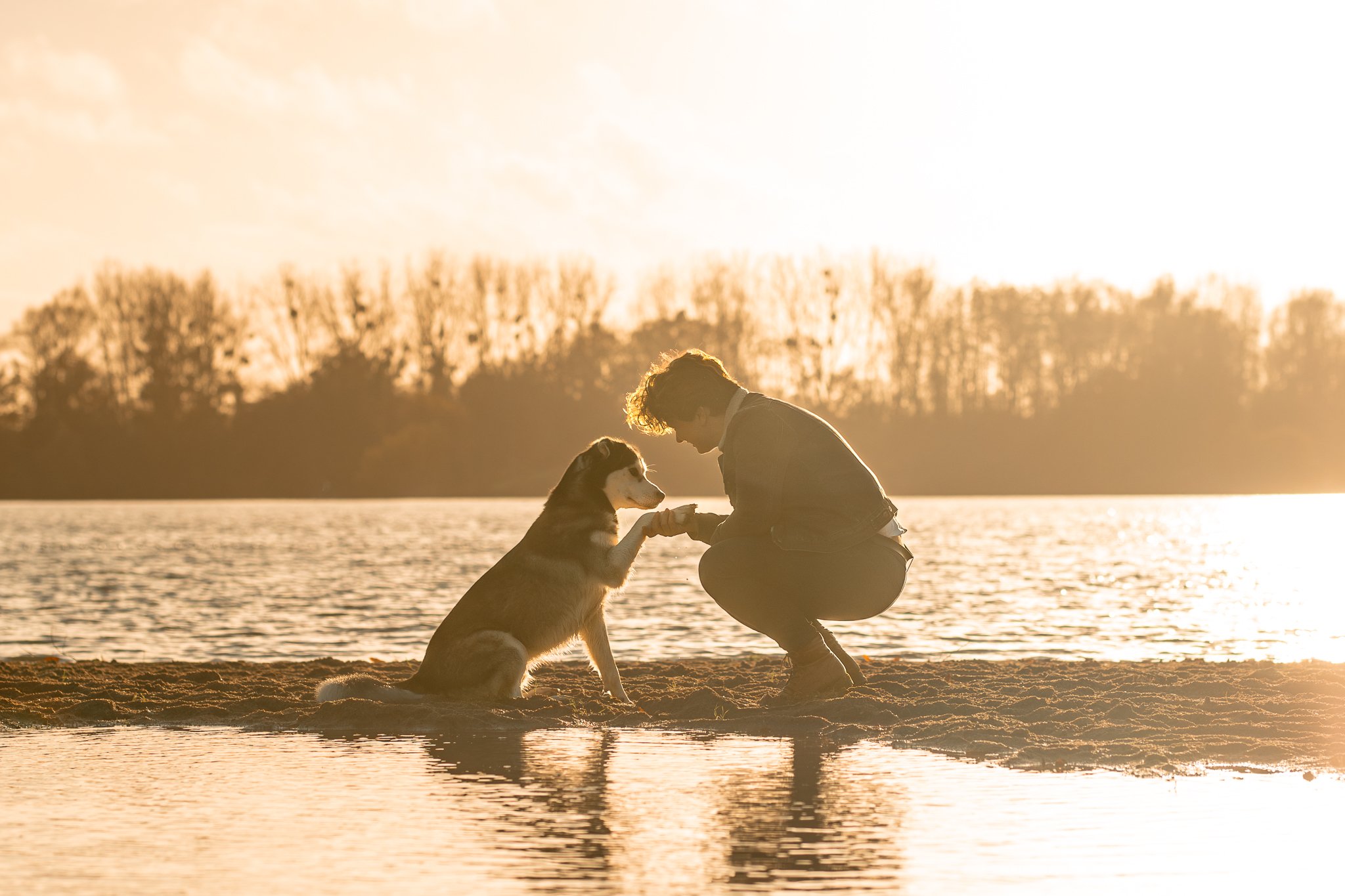 2W3A4271-Avec accentuation-Bruit 2.JPG