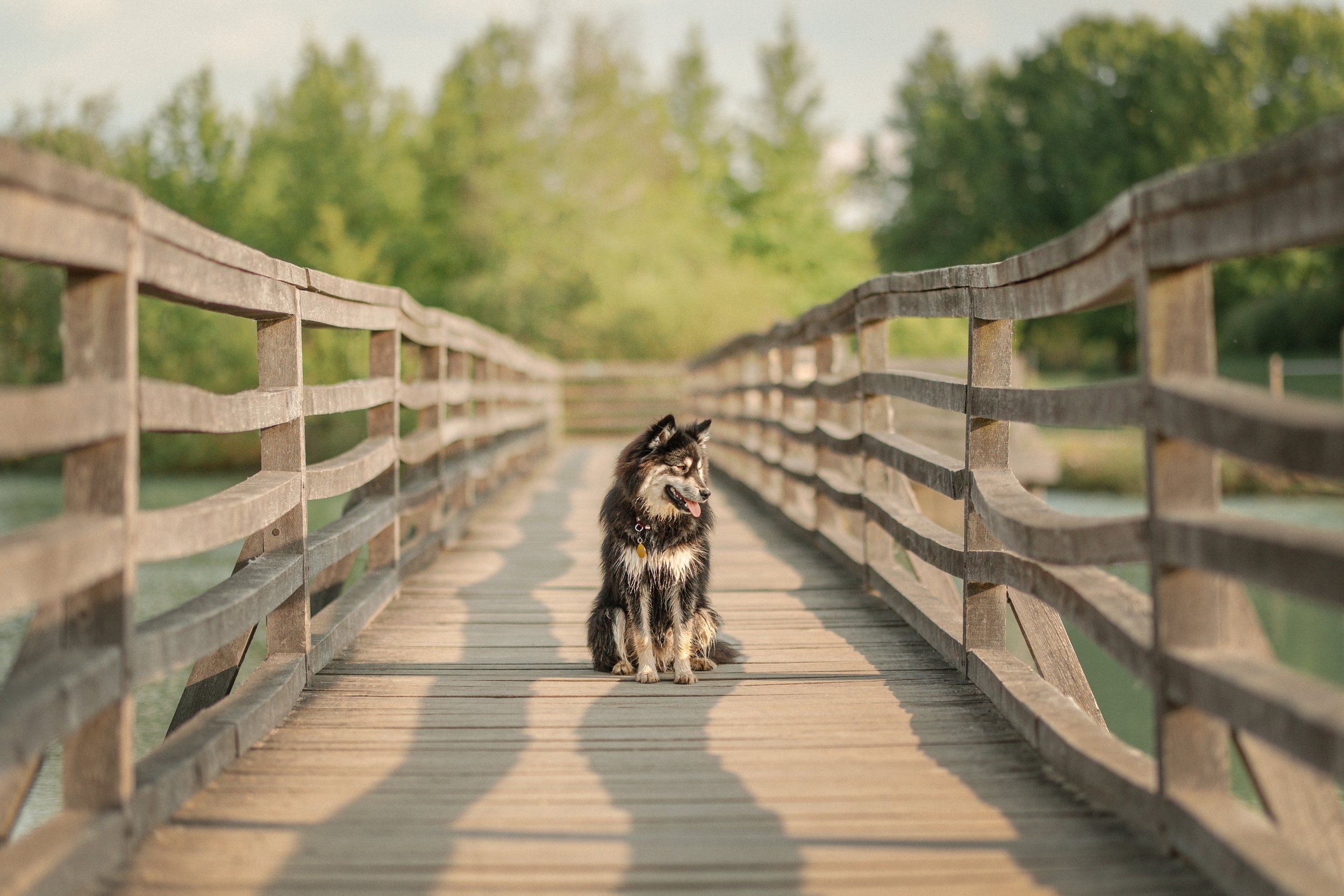 2W3A9839-Modifier 2.JPG