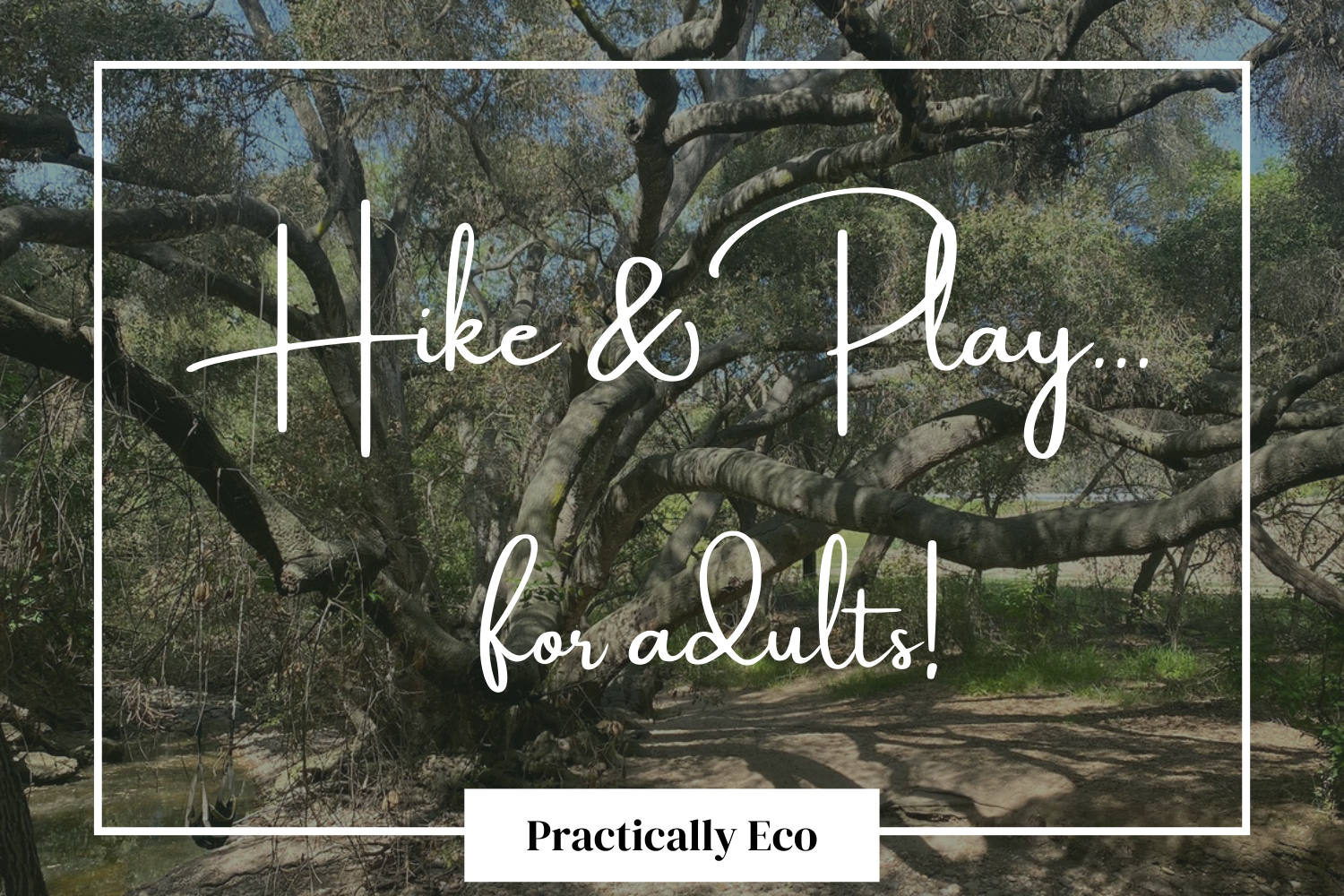 Hike &amp; Play...for adults!