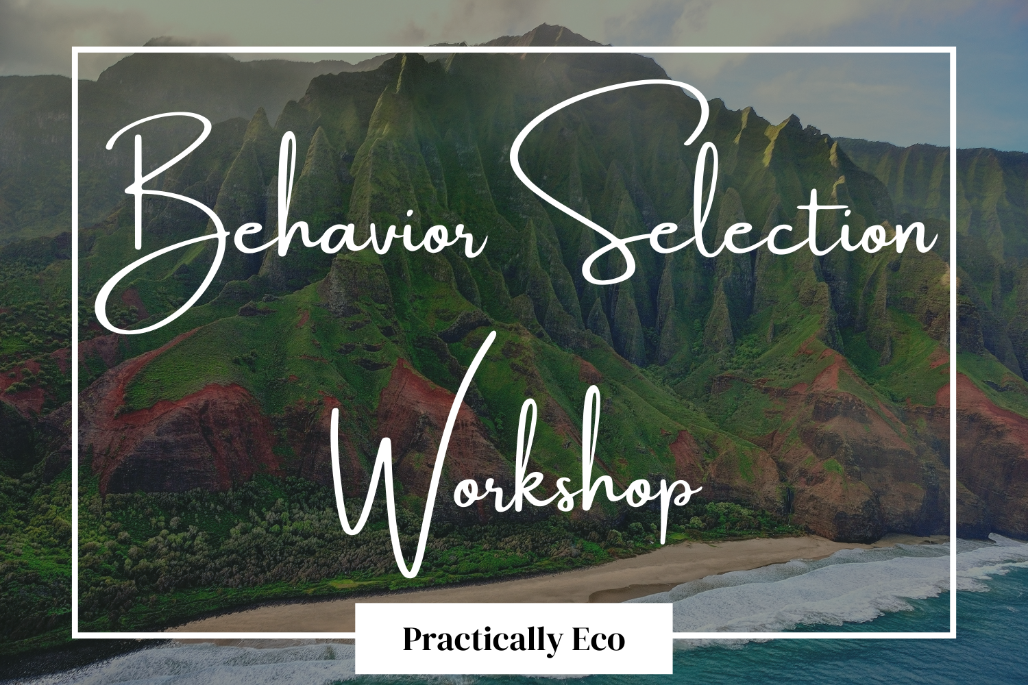 Behavior Selection Workshop