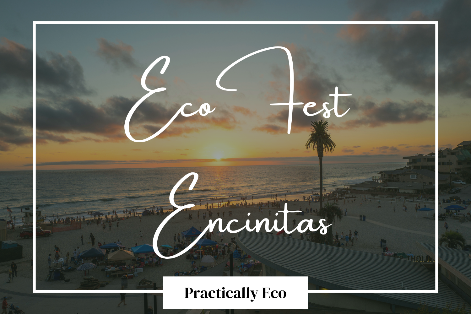 EcoFest!