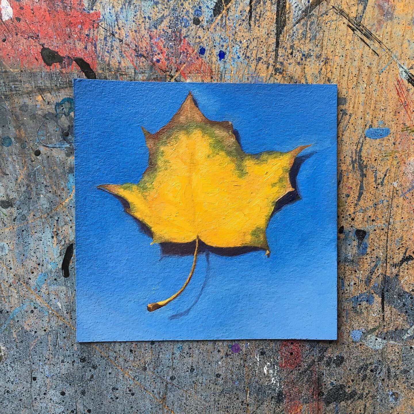Happy Autumn! 💛🍁
We made it through another summer 😄

#autumn #fall #firstdayofautumn #firstdayoffall #autumnequinox #autumnequinox2022 
#autumnpainting #fallpainting #yellowleaf #painting #canadianpainting #oilonpaper #happiness #art