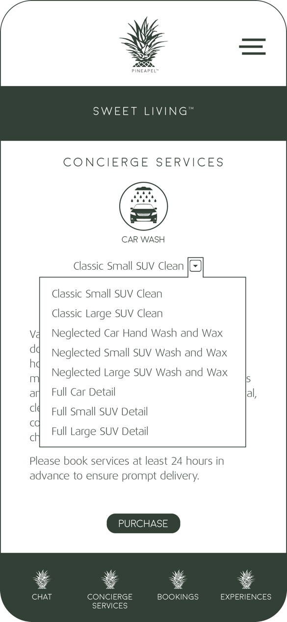 Car wash services drop down menu.