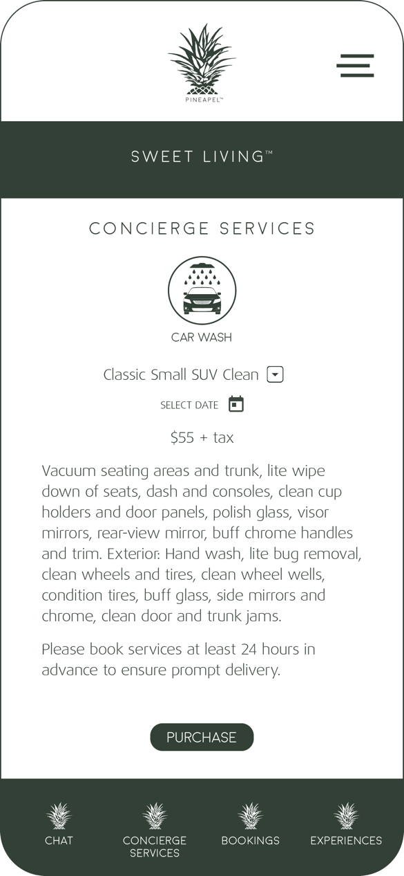 Car wash service description and pricing.