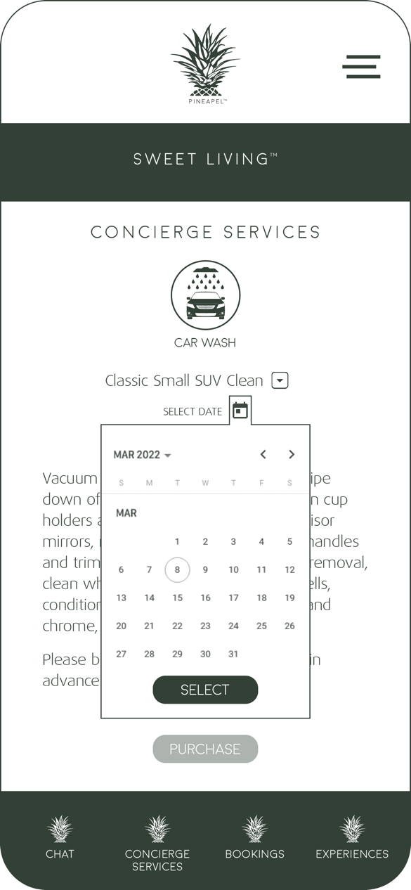 Car wash scheduling calendar.
