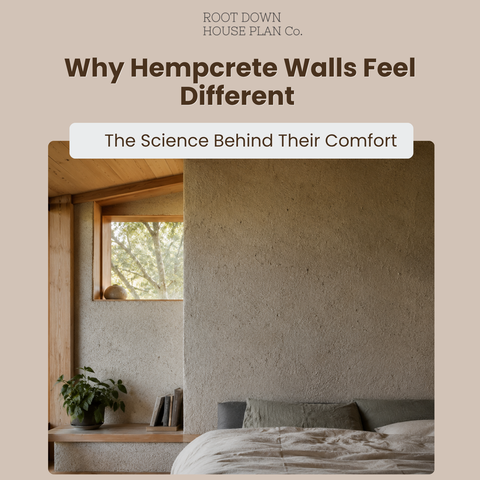Why Hempcrete Walls Feel Different: The Science Behind Their Comfort