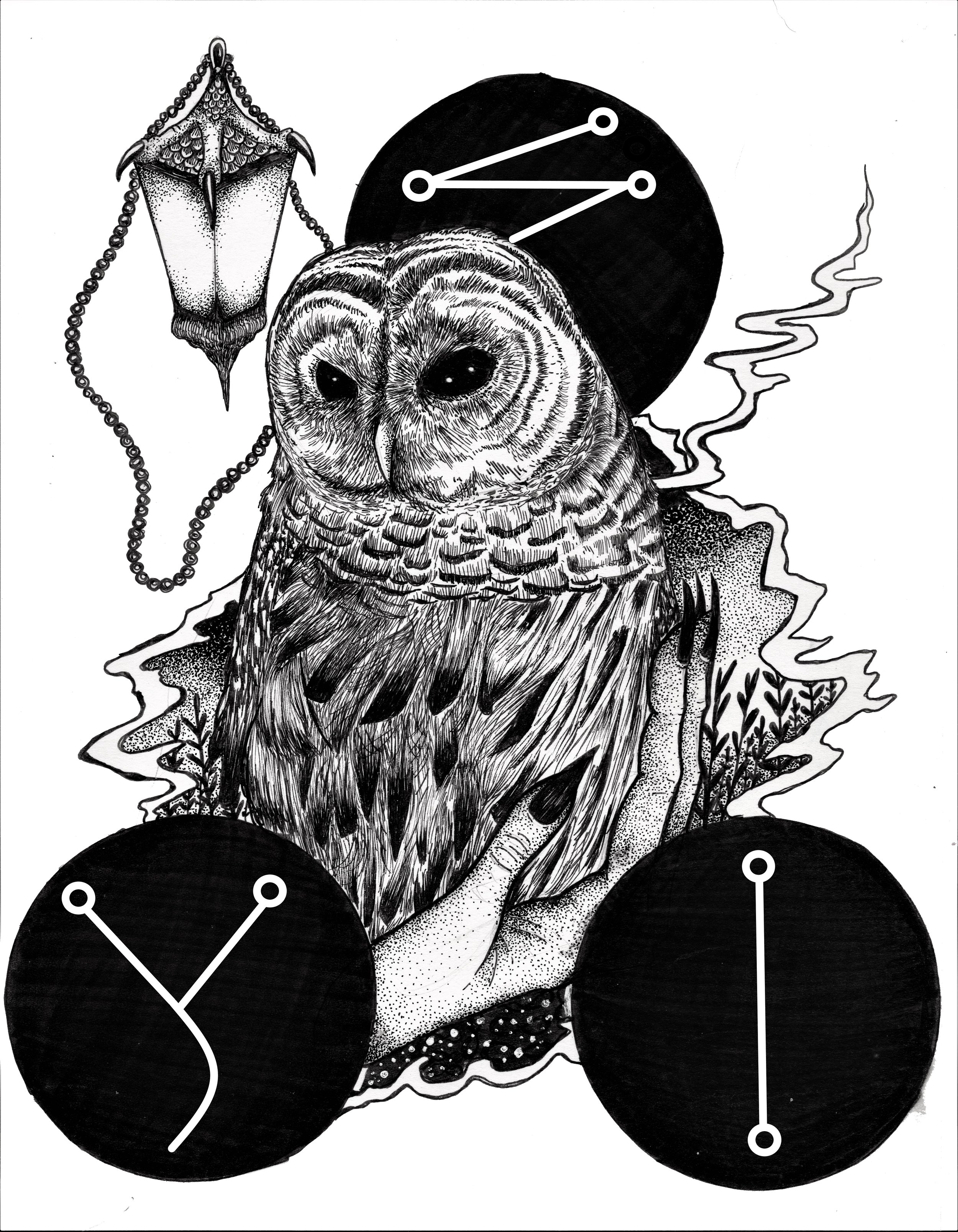 Owl prosperity .jpg