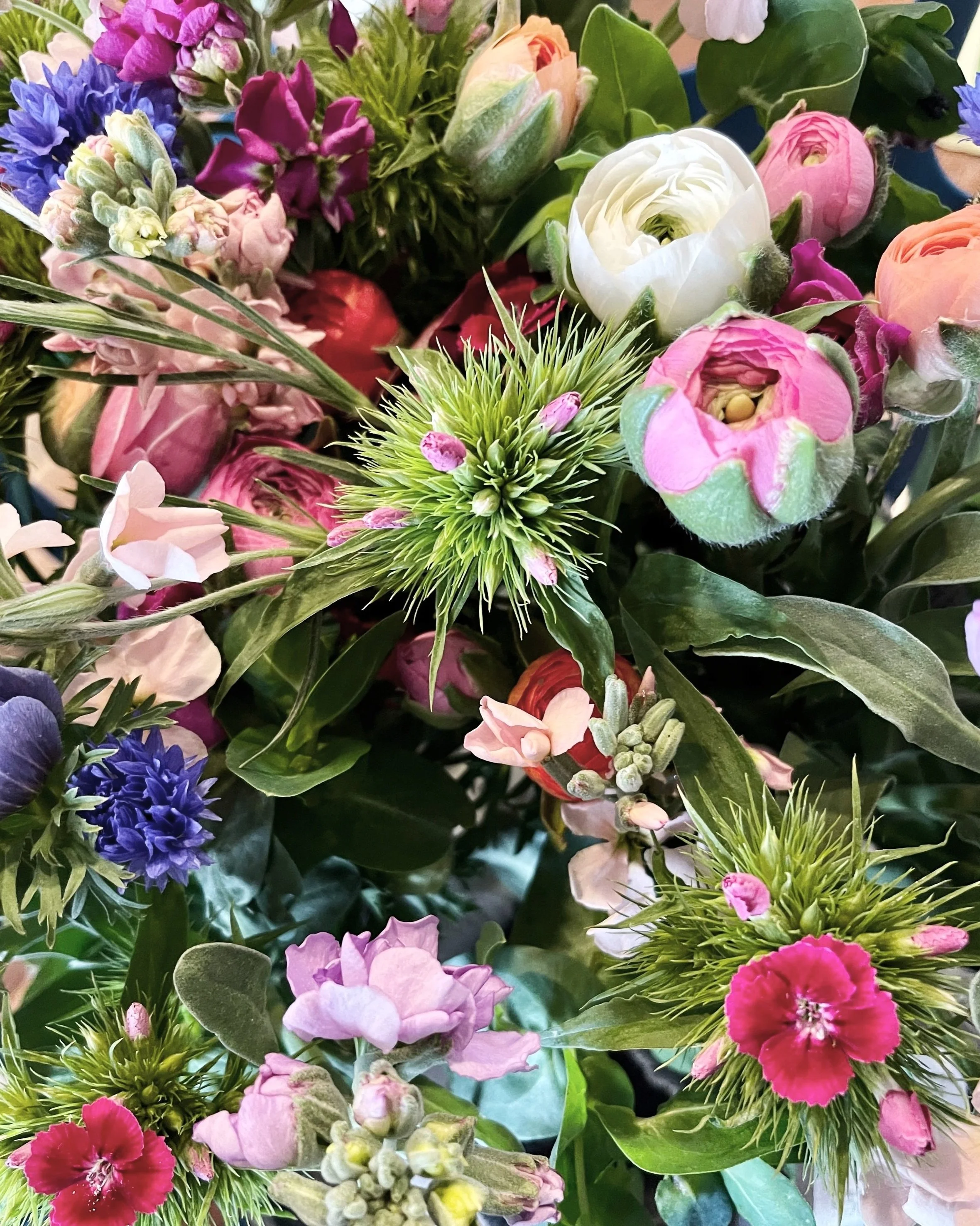 Premium Bulk Bloom Buckets — Wild Bird Farm