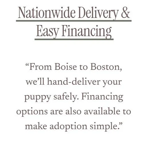 Advertisement for nationwide puppy delivery and financing, stating they deliver from Boise to Boston and offer financing options for adoption.