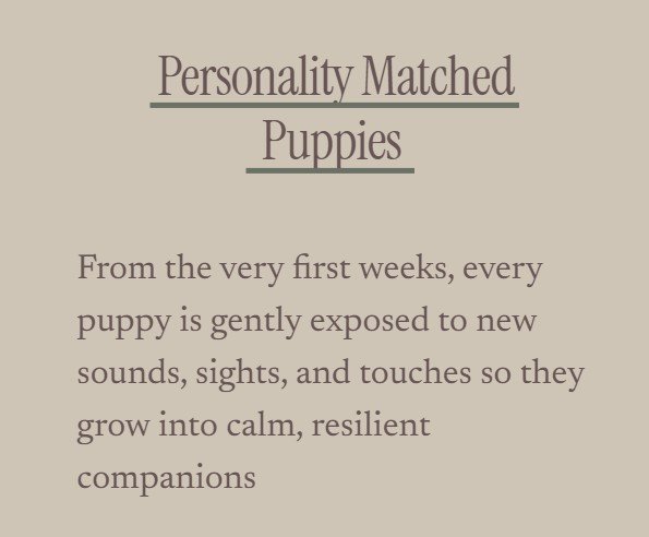 Text on a beige background that reads "Personality Matched Puppies. From the very first weeks, every puppy is gently exposed to new sounds, sights, and touches so they grow into calm, resilient companions."
