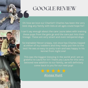 Screenshot of a Google review praising a dog named Charlie, mentioning training success with Laura, with a four-star rating, on a light teal background.