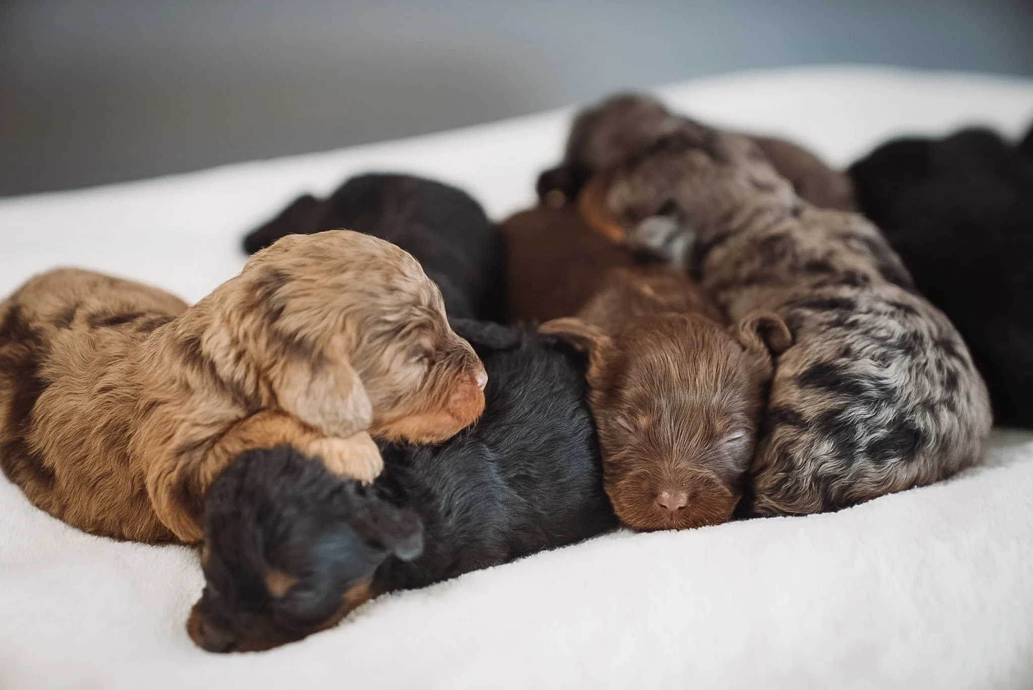 DSC04039.JPG (Copy) (Copy)