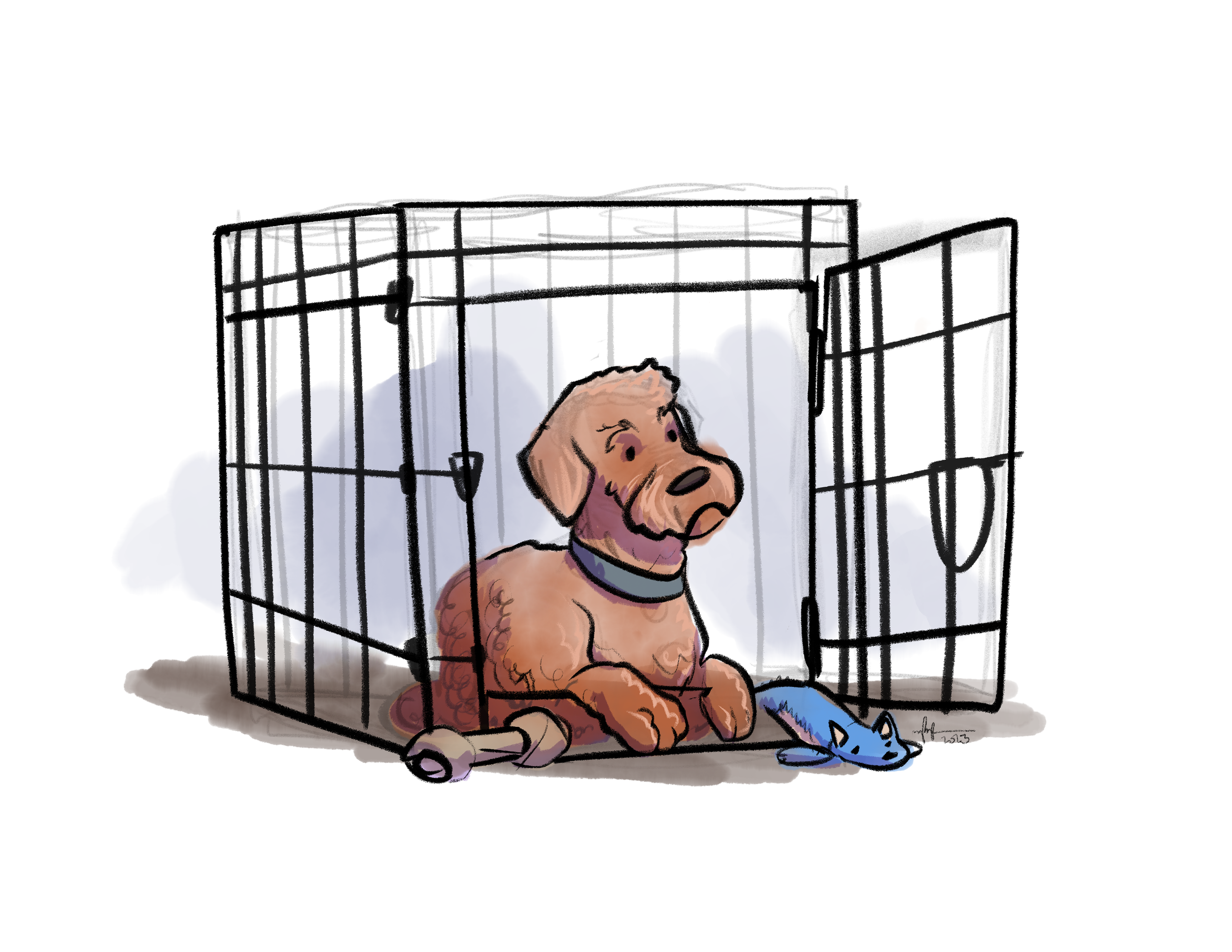 Crate Training