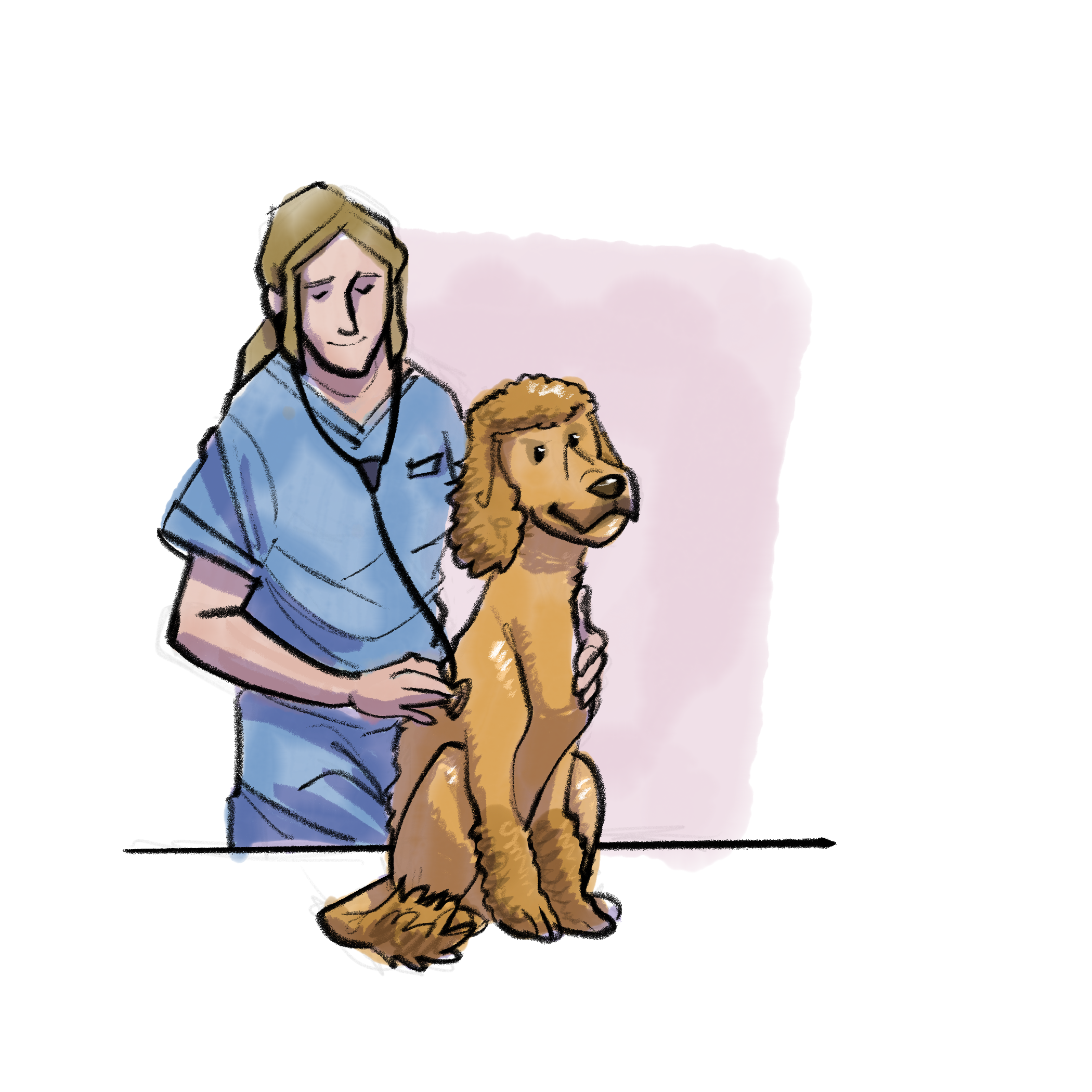When Should We Start Puppy Socialization? Navigating the Path During Vaccination Period