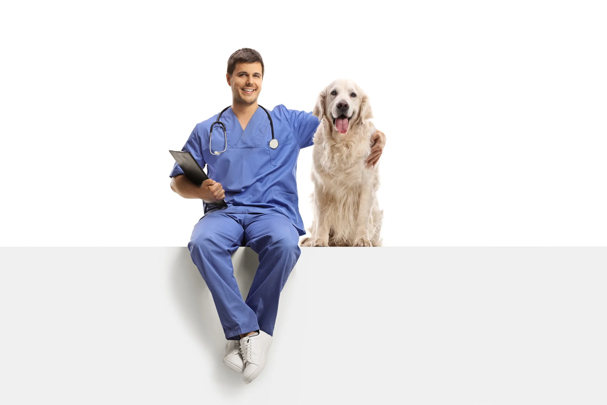 A male veterinarian in blue scrubs sitting on a ledge with a clipboard, smiling, next to a large golden retriever dog that is sitting with its tongue out.
