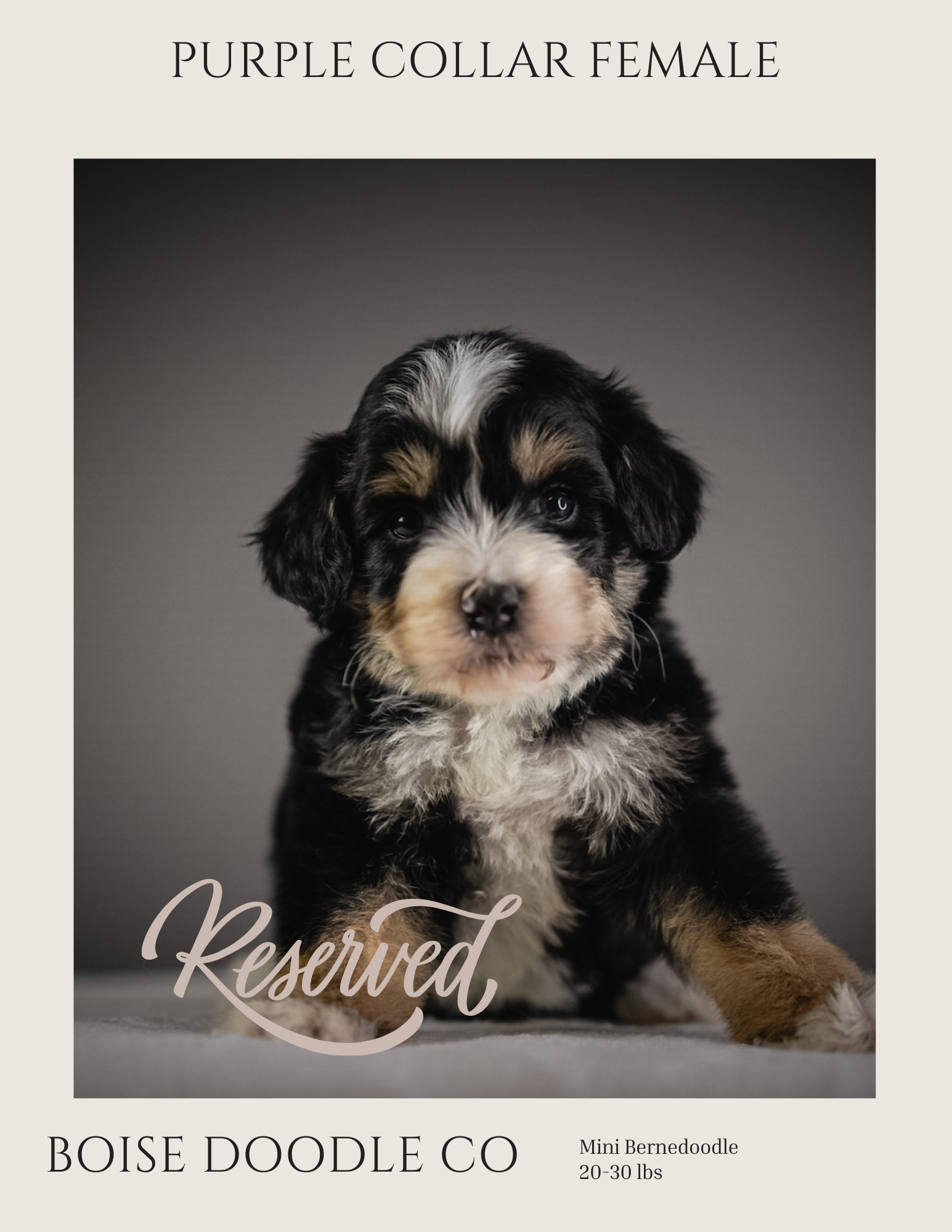 Front cover page (5).png