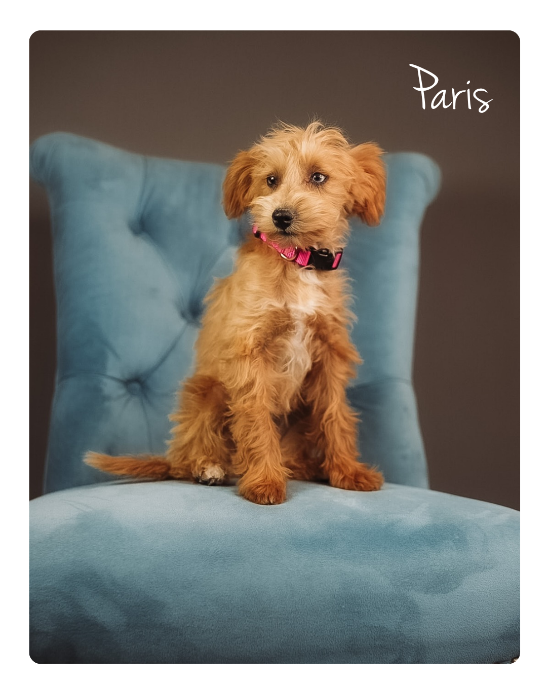 Paris (3).png