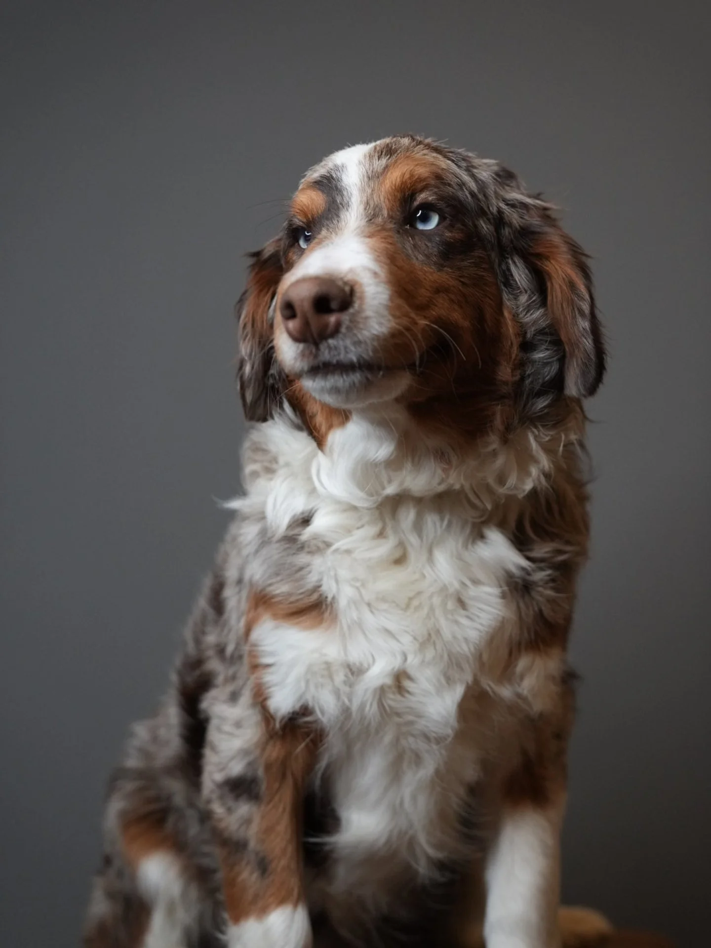 Duke, unedited, fall 2025