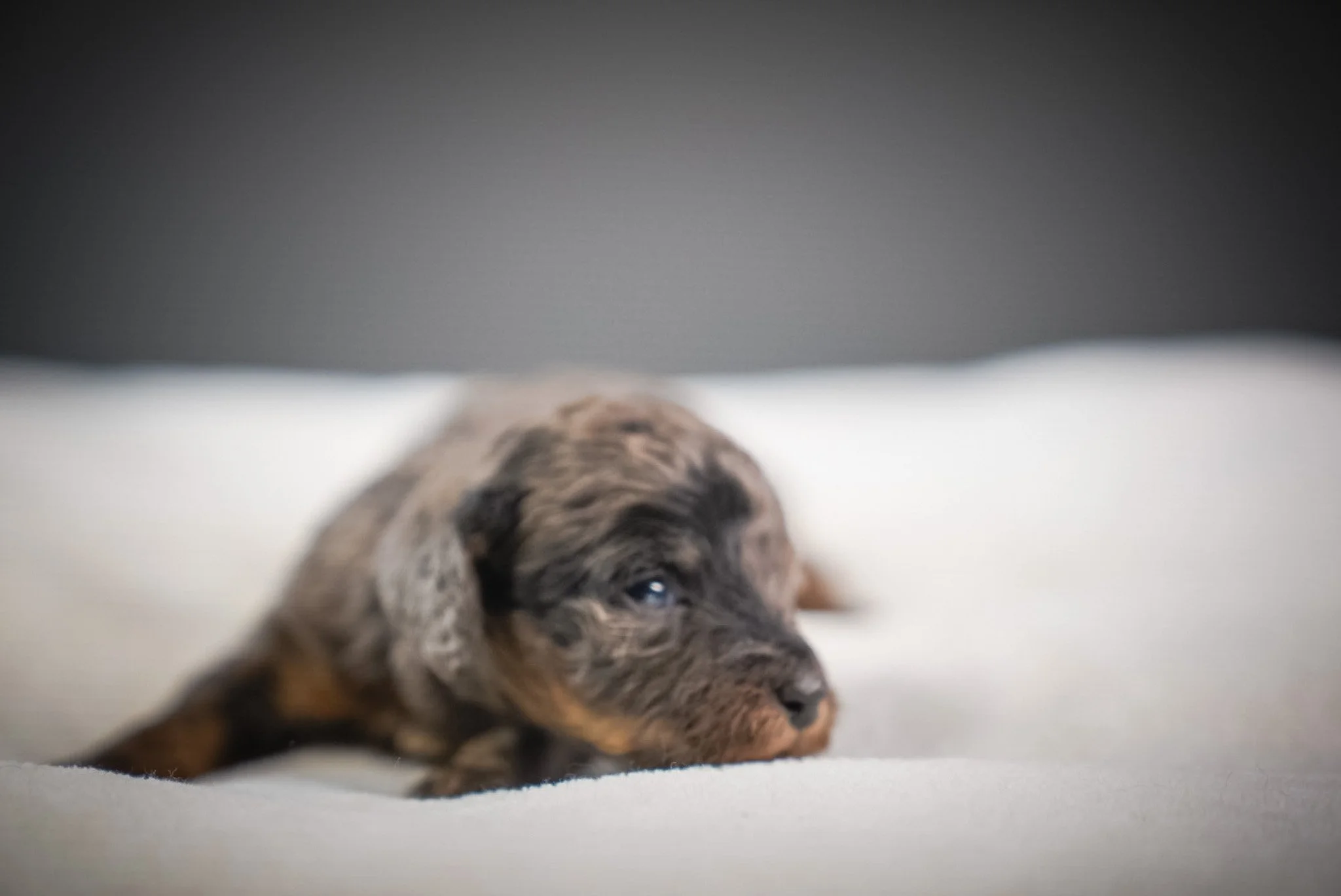 DSC05121.JPG (Copy) (Copy)