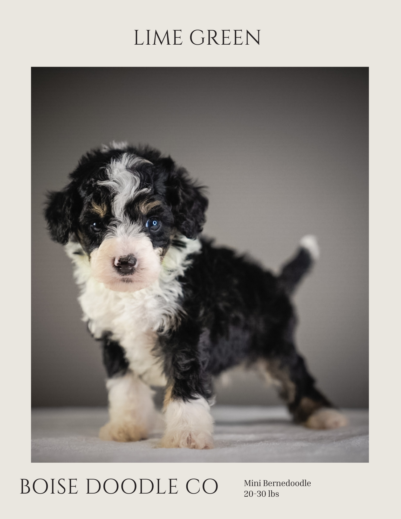 Front cover page.png