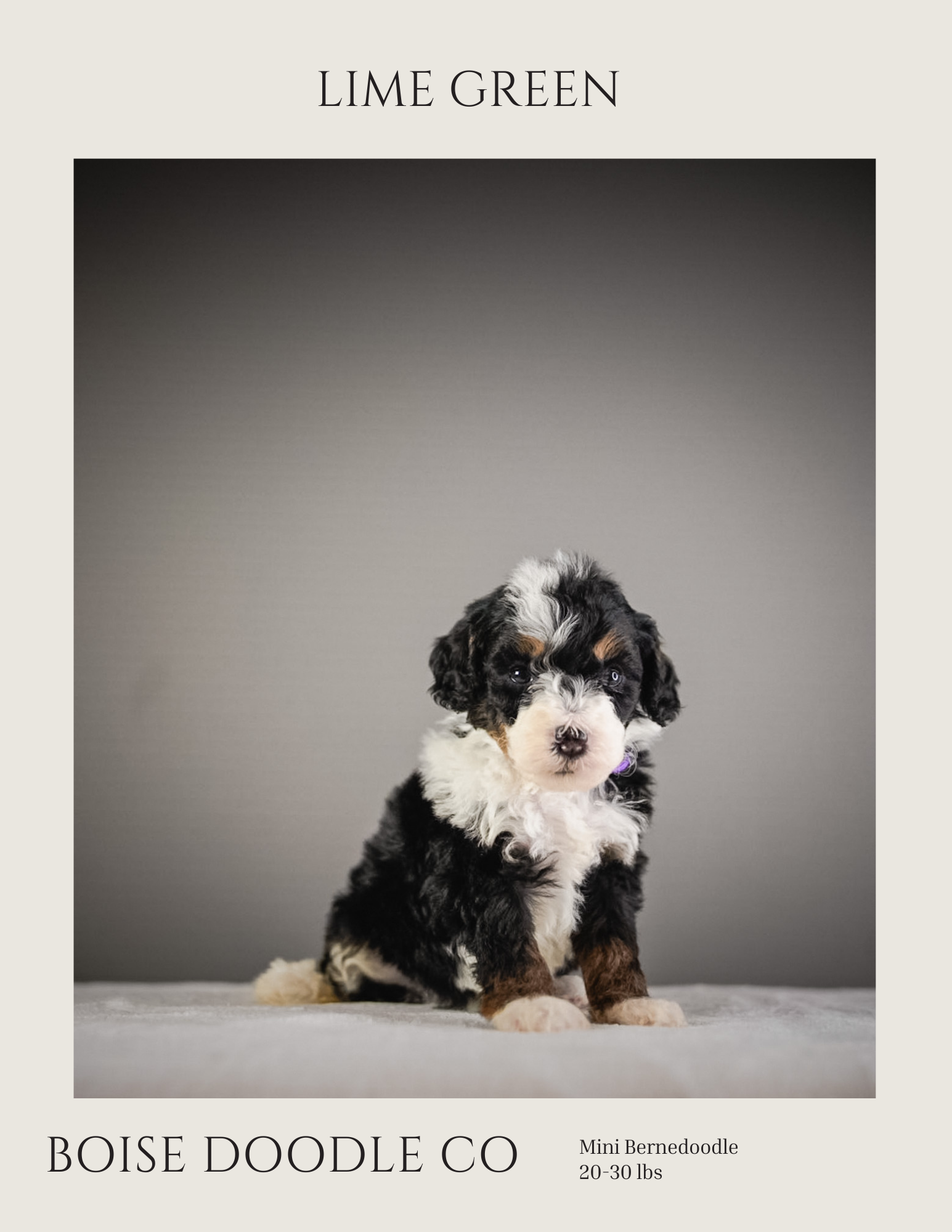 Front cover page (3).png