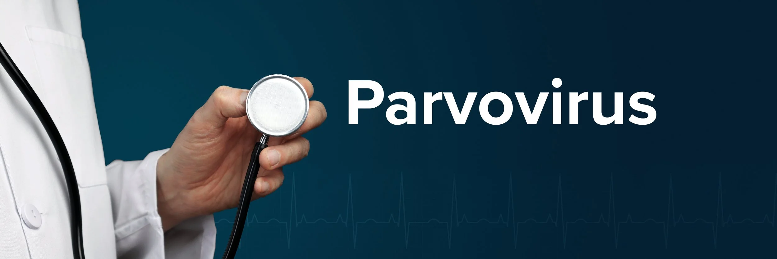 A healthcare professional holding a stethoscope in front of the word 'Parvovirus' on a blue background.