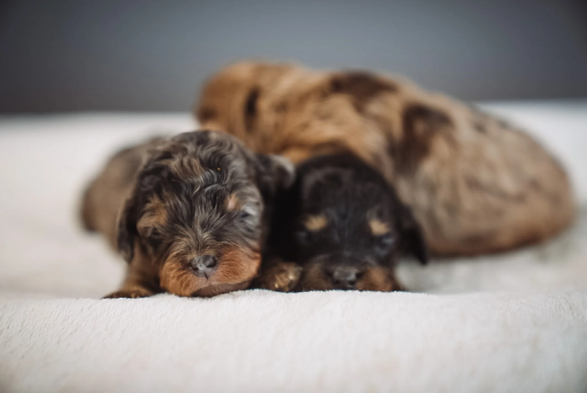 DSC04060.JPG (Copy) (Copy)