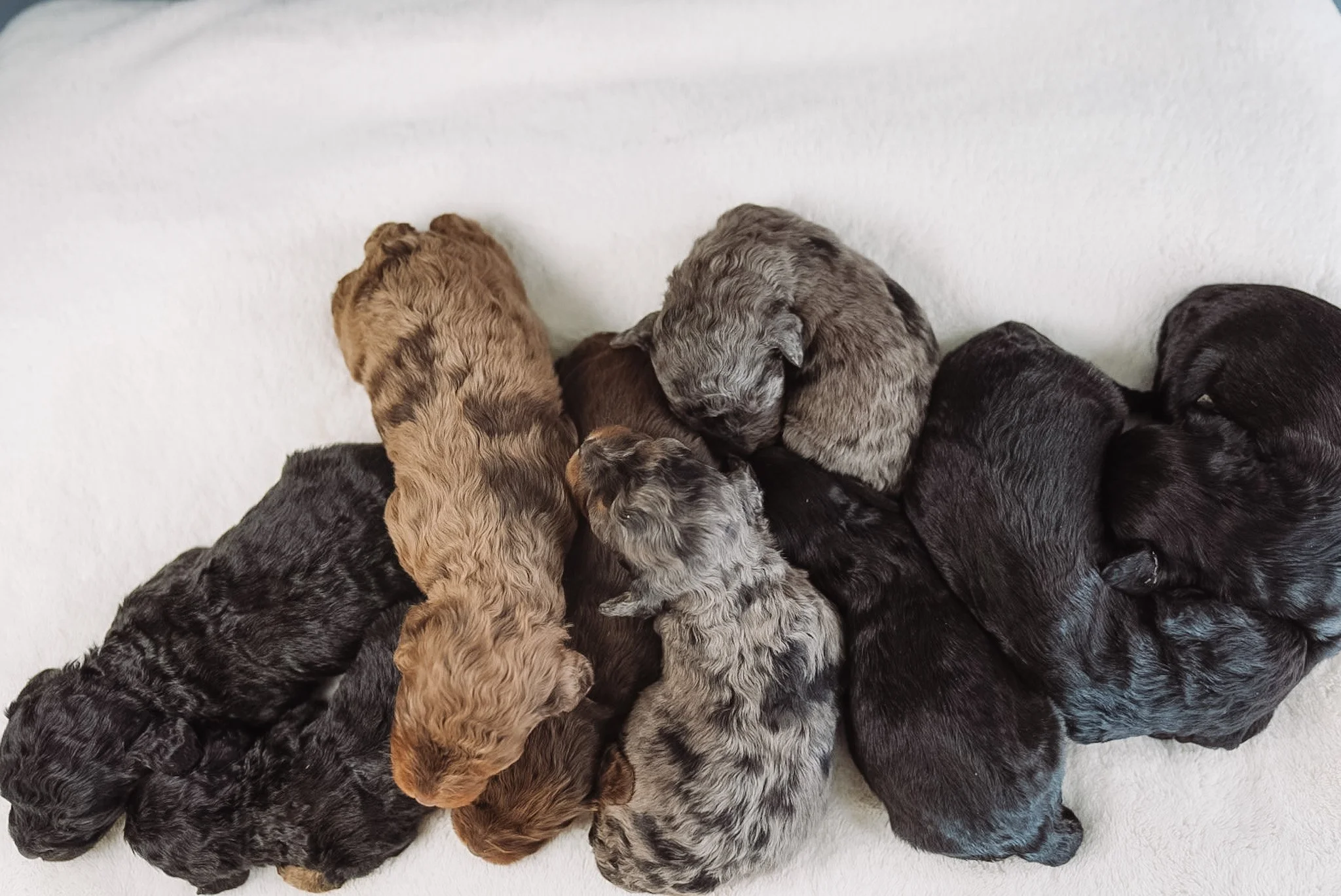 DSC04051.JPG (Copy) (Copy)