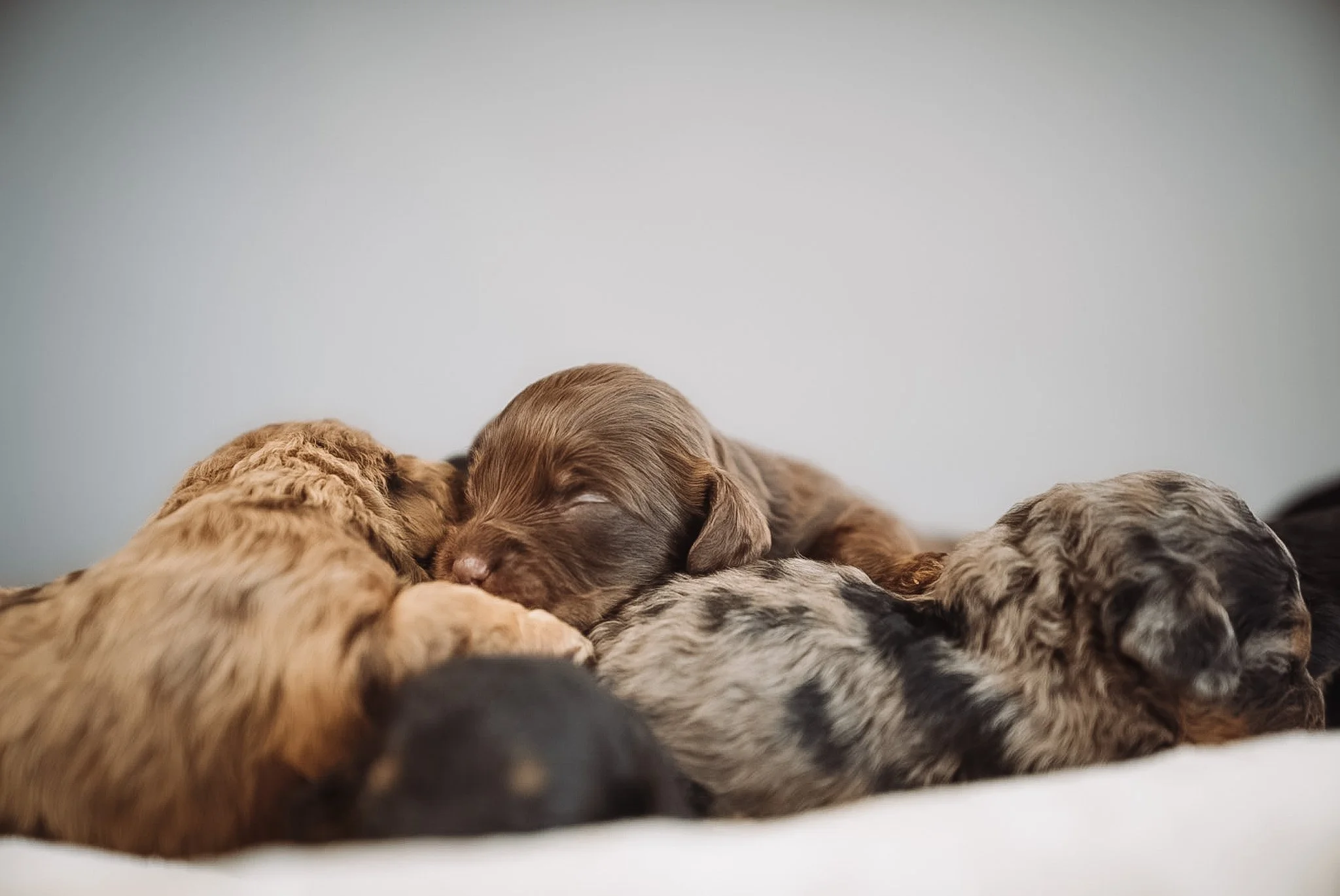 DSC04025.JPG (Copy) (Copy)