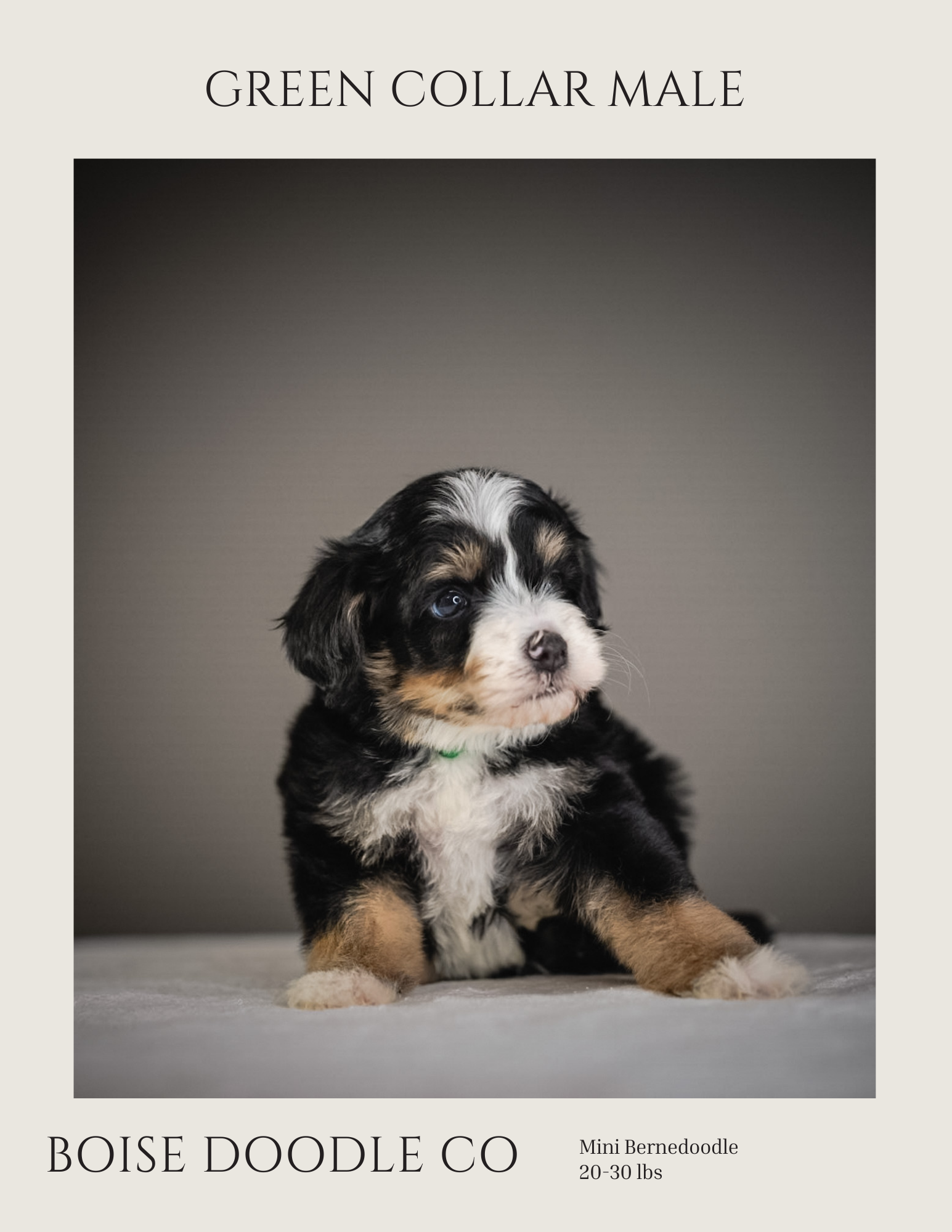 Front cover page (4).png