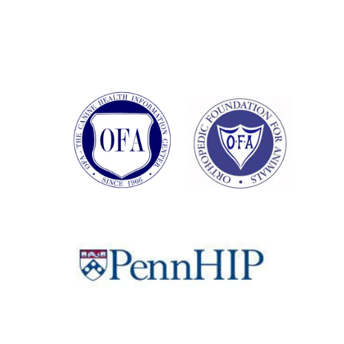 Logos of Orthopedic Foundation for Animals and PennHIP.