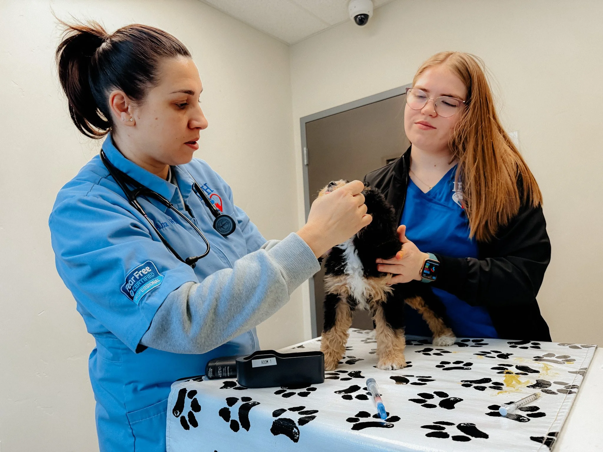 A veterinarian examining a small puppy on an examination table with a black and white paw print cover, while a young girl holds the puppy steady in a veterinary clinic.