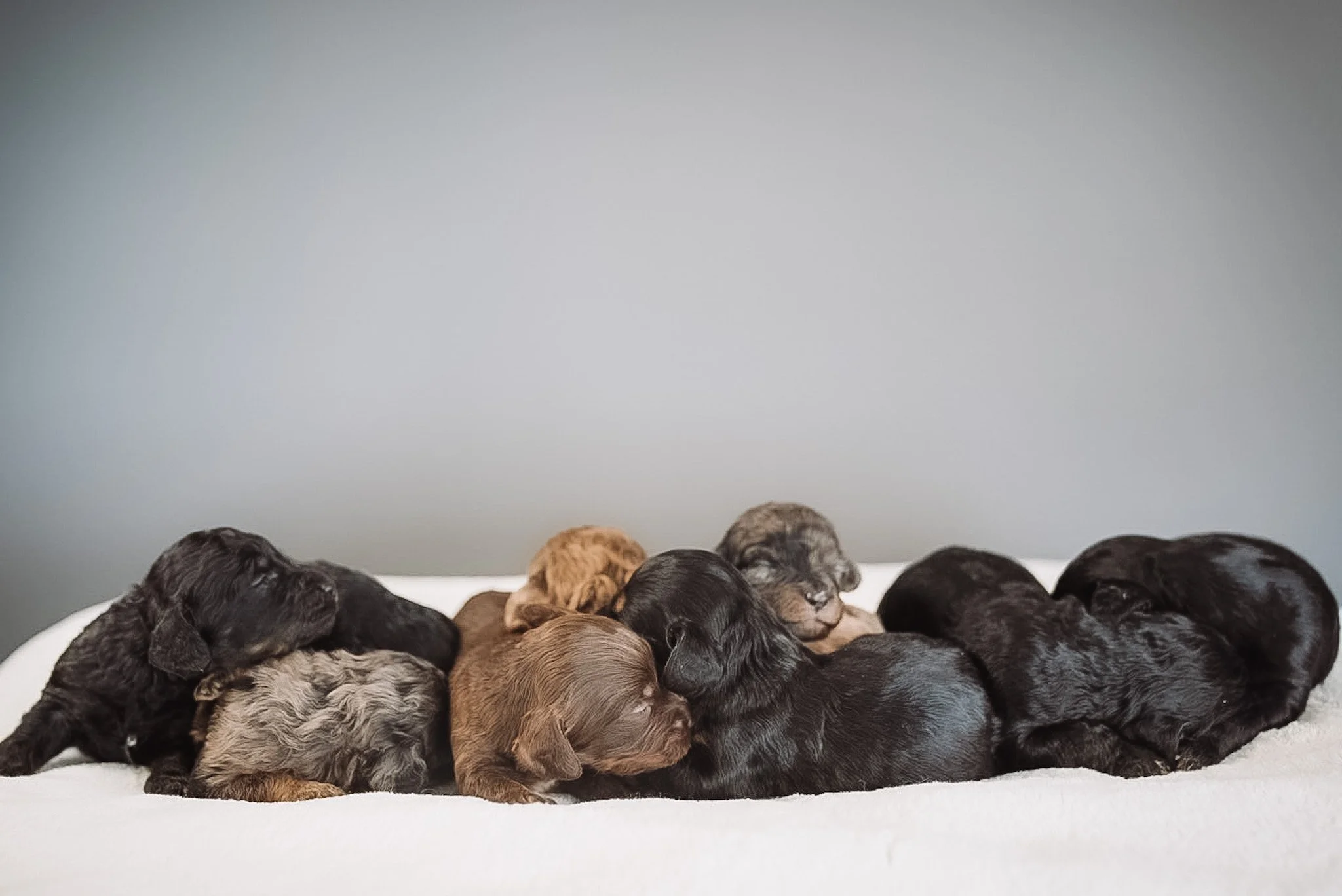 DSC03999.JPG (Copy) (Copy)