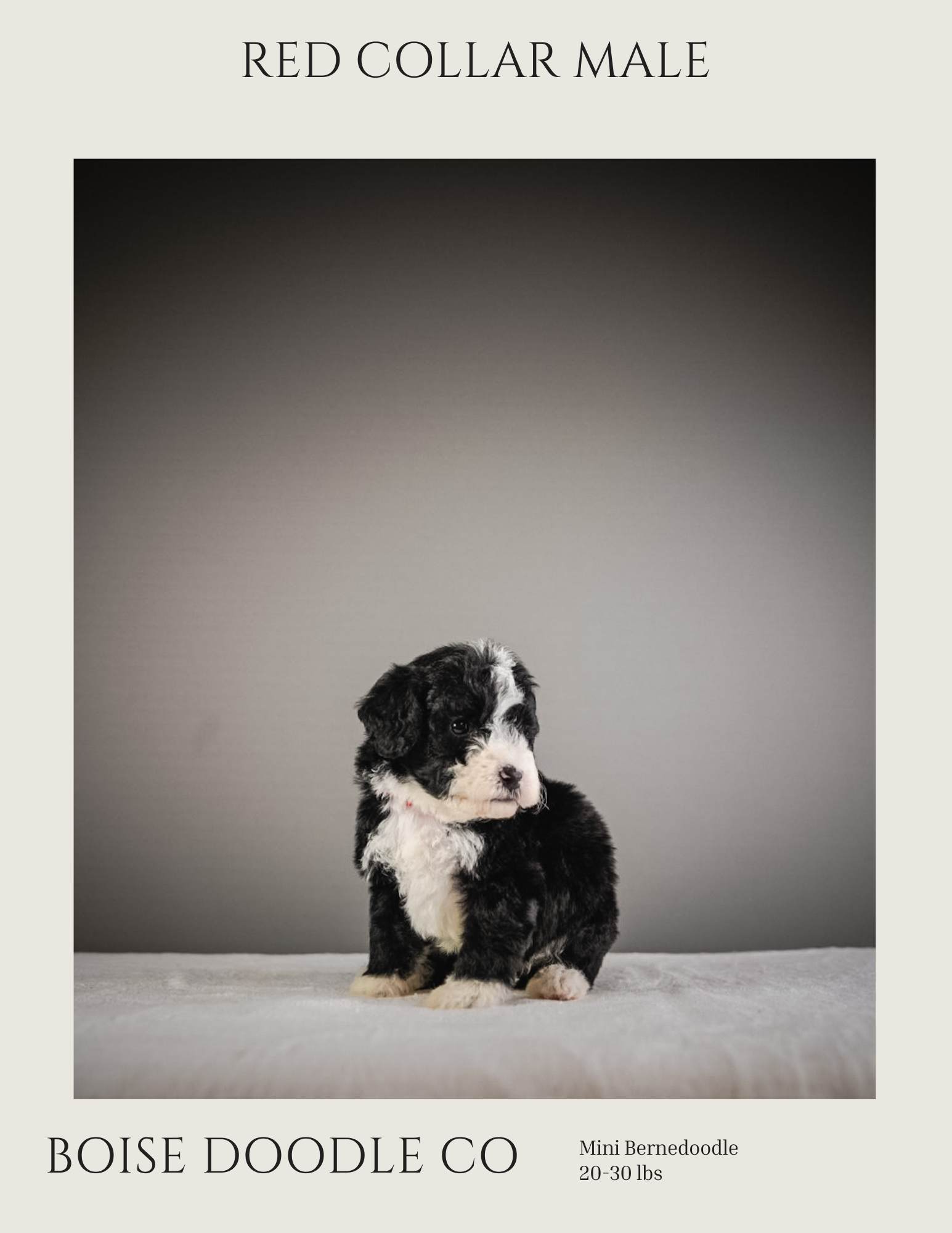 Front cover page (7).png