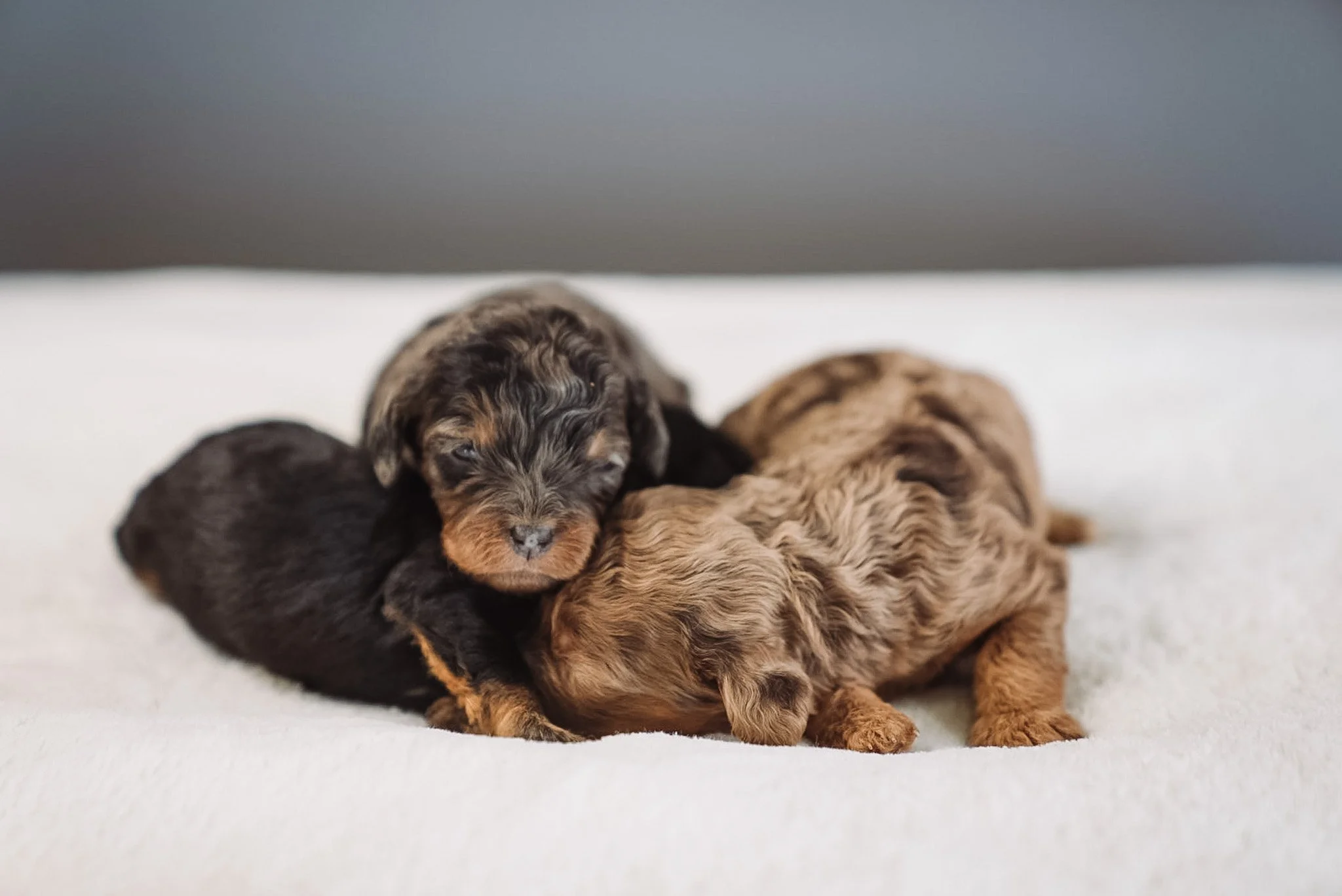 DSC04053.JPG (Copy) (Copy)