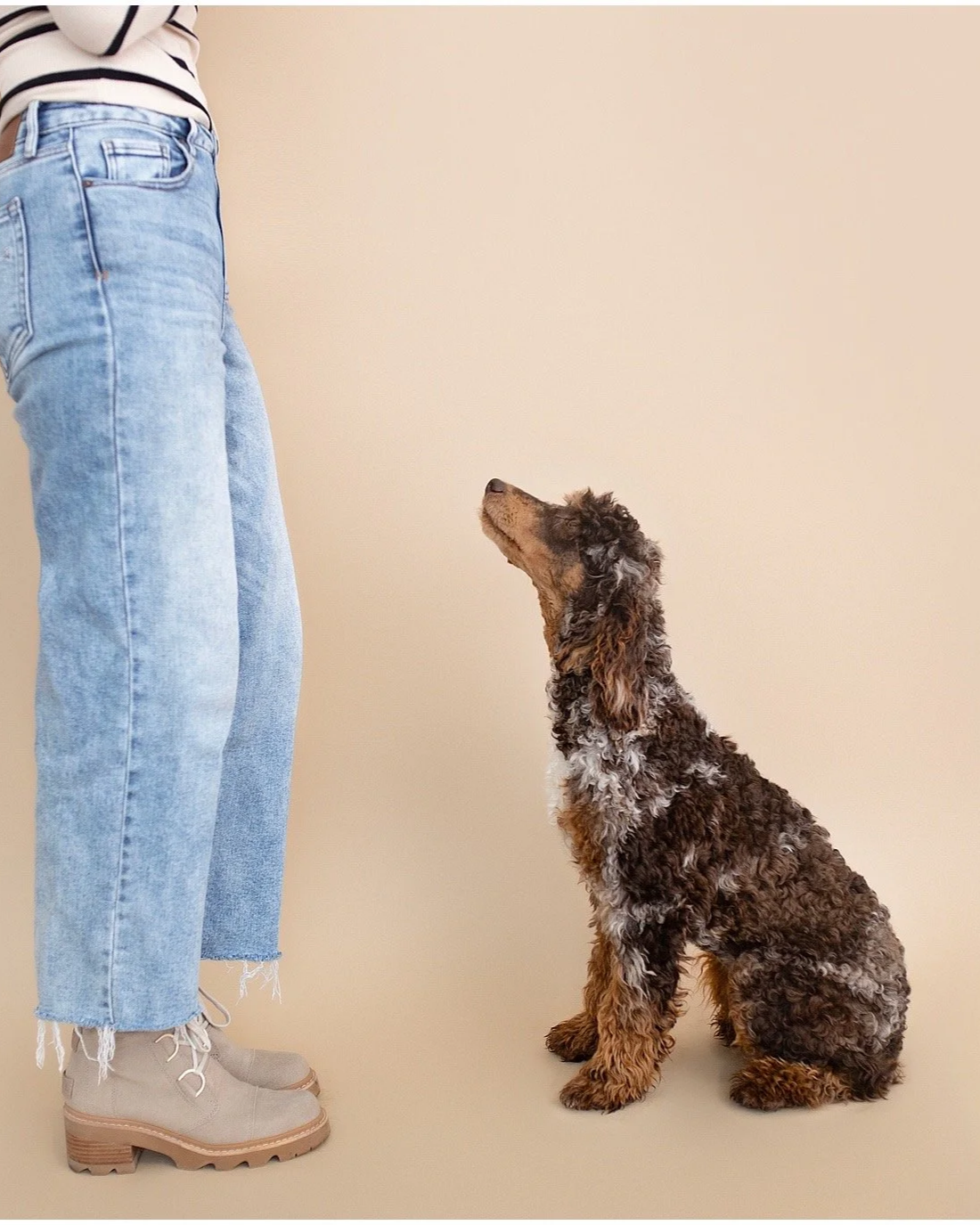A person with light wash jeans and beige boots standing next to a curly-haired puppy sitting and looking up at them against a plain beige wall.