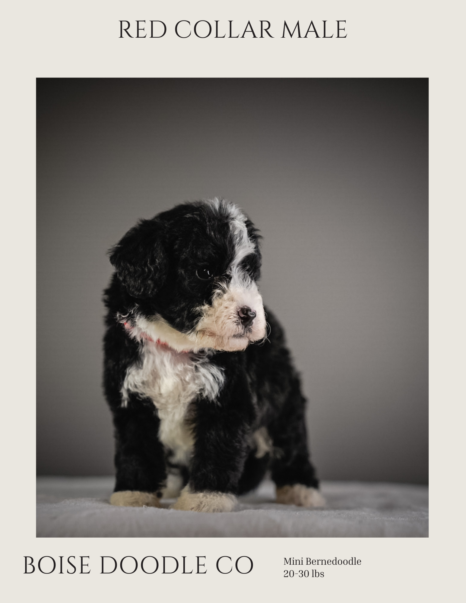 Front cover page (6).png