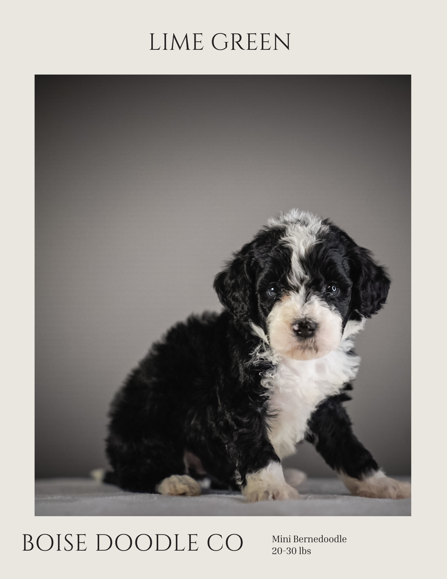 Front cover page (2).png