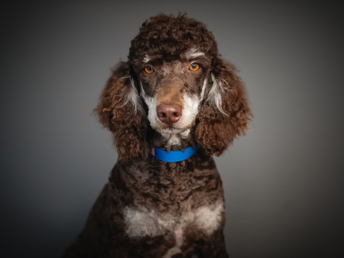 DSC09963.JPG (Copy) (Copy)