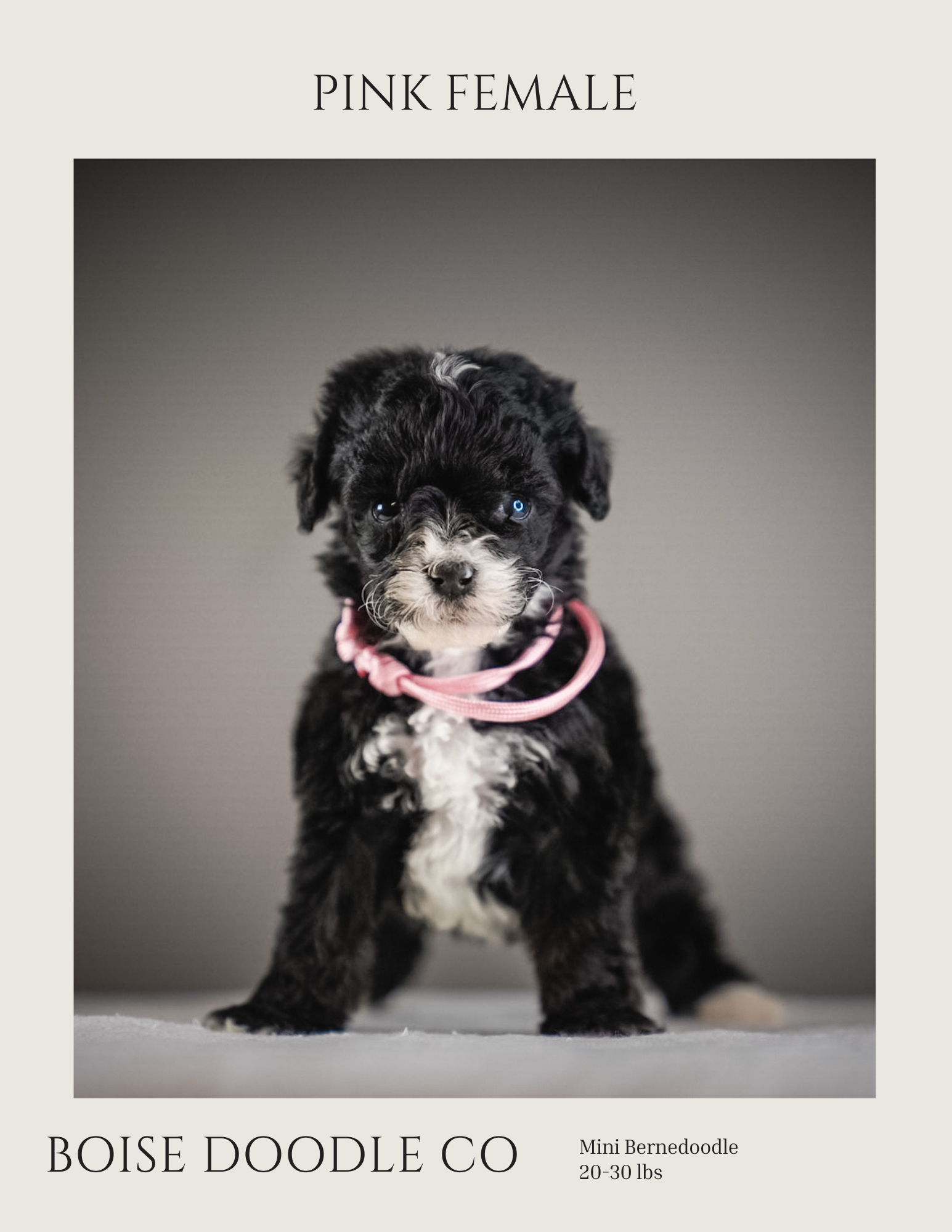 Front cover page (10).png