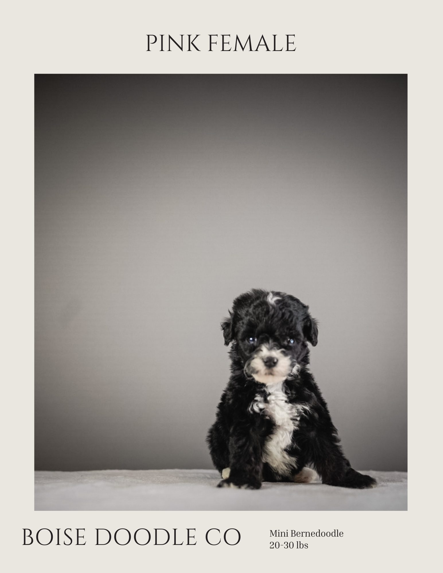 Front cover page (9).png