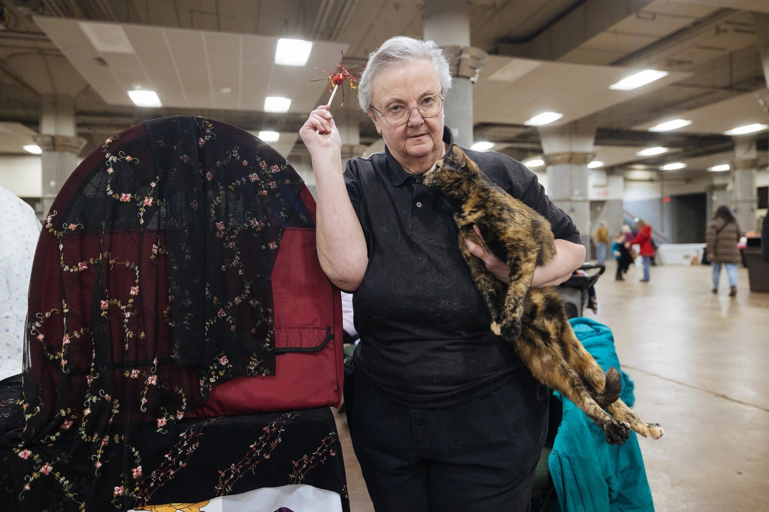 20260124 Saintly City Cat Show-10.jpg