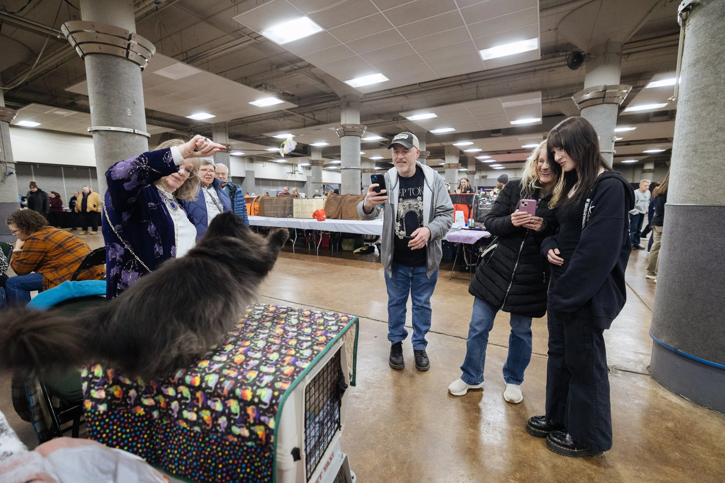 20260124 Saintly City Cat Show-22.jpg