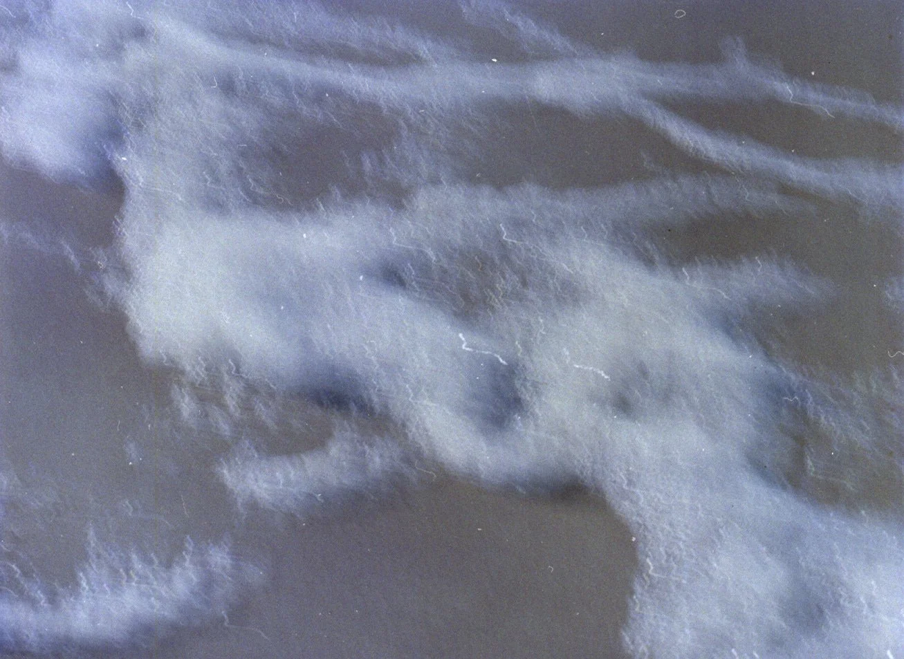 Folio_26_ 34.jpg
