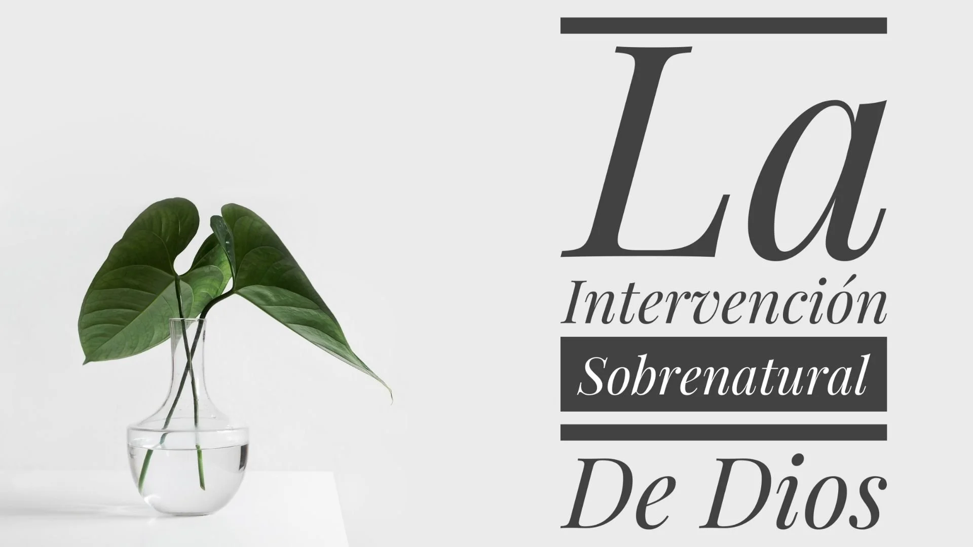 La Intervención Sobrenatural De Dios