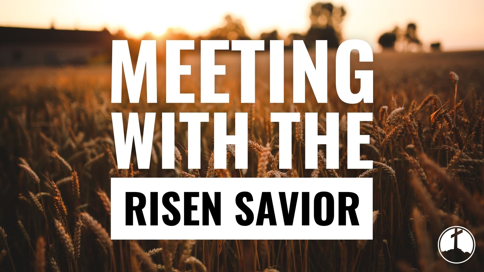 Meeting With The Risen Savior