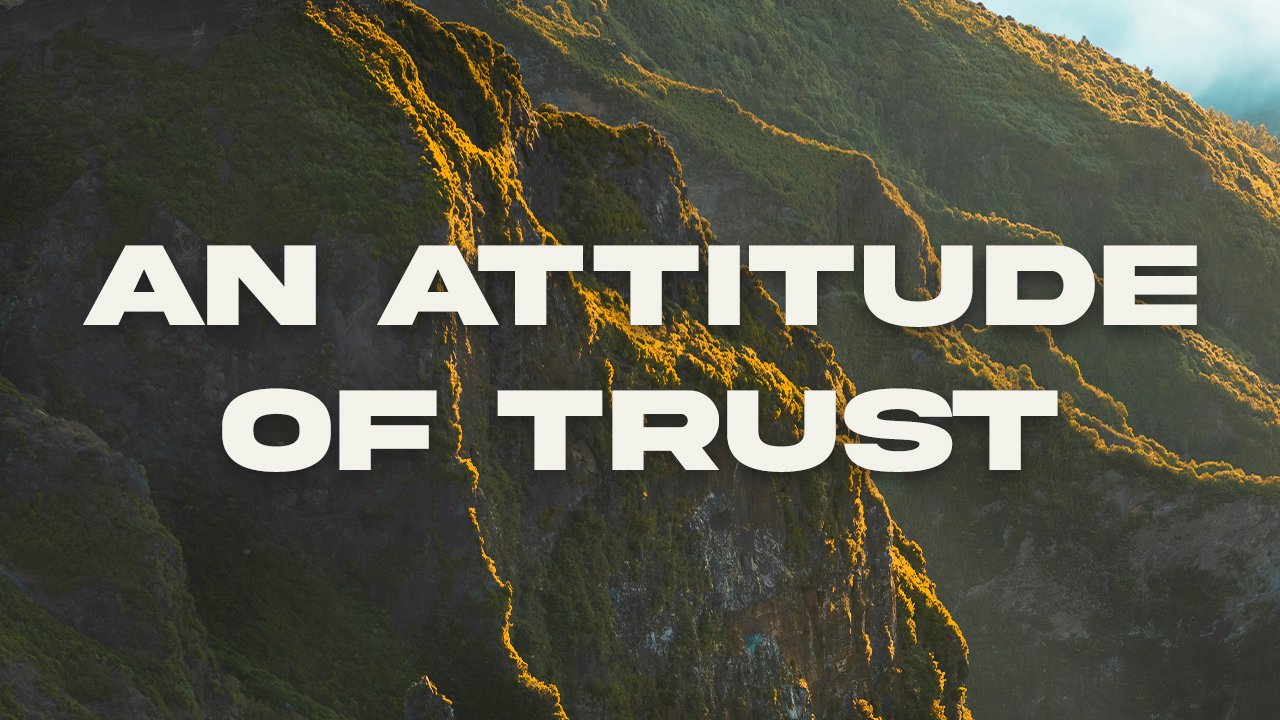 An Attitude Of Trust