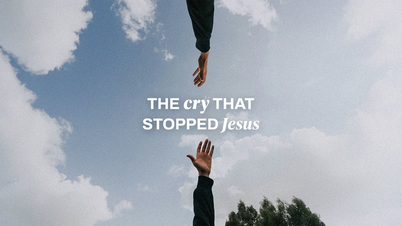 The Cry That Stopped Jesus