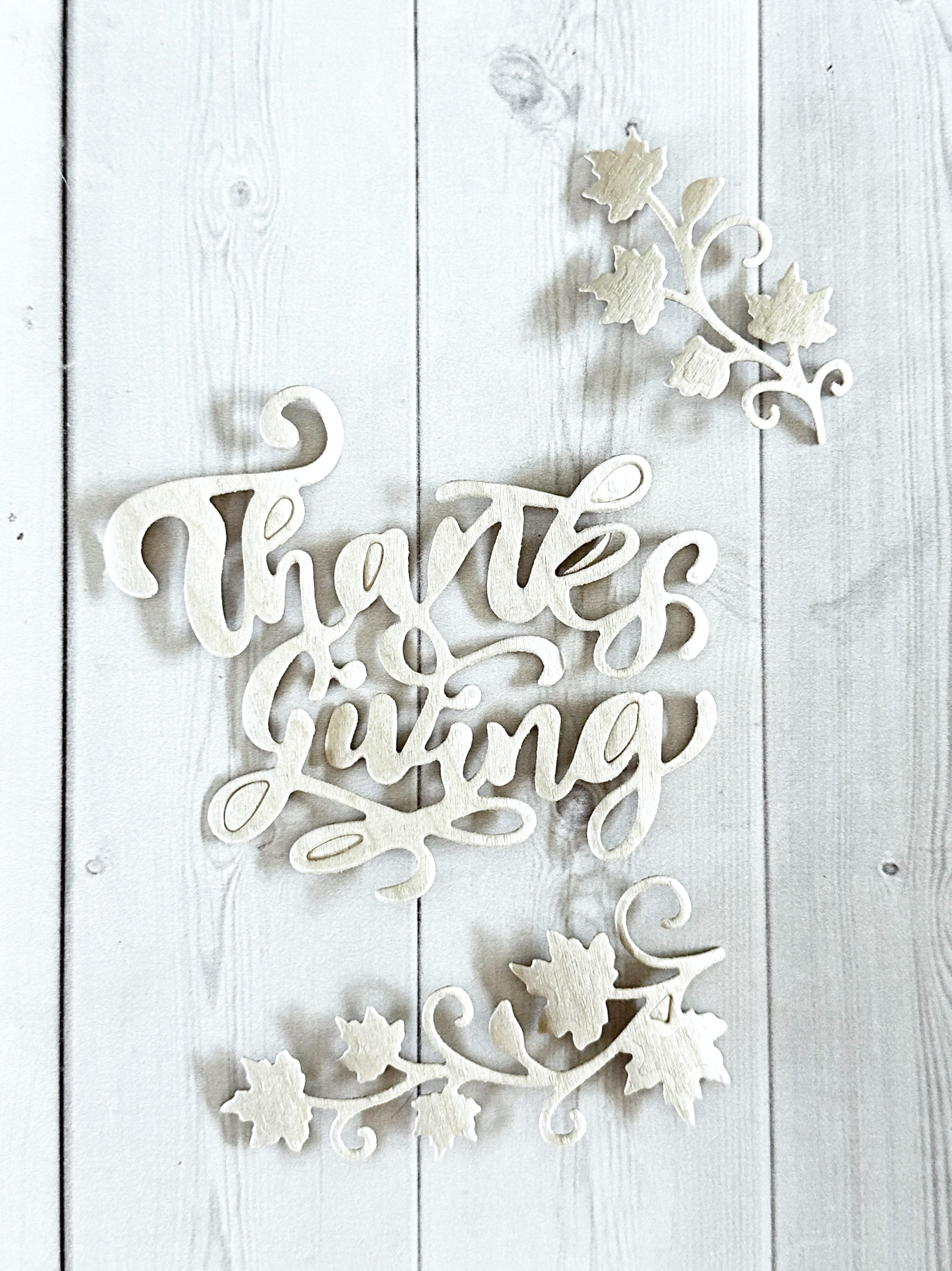 IMG_0022.png