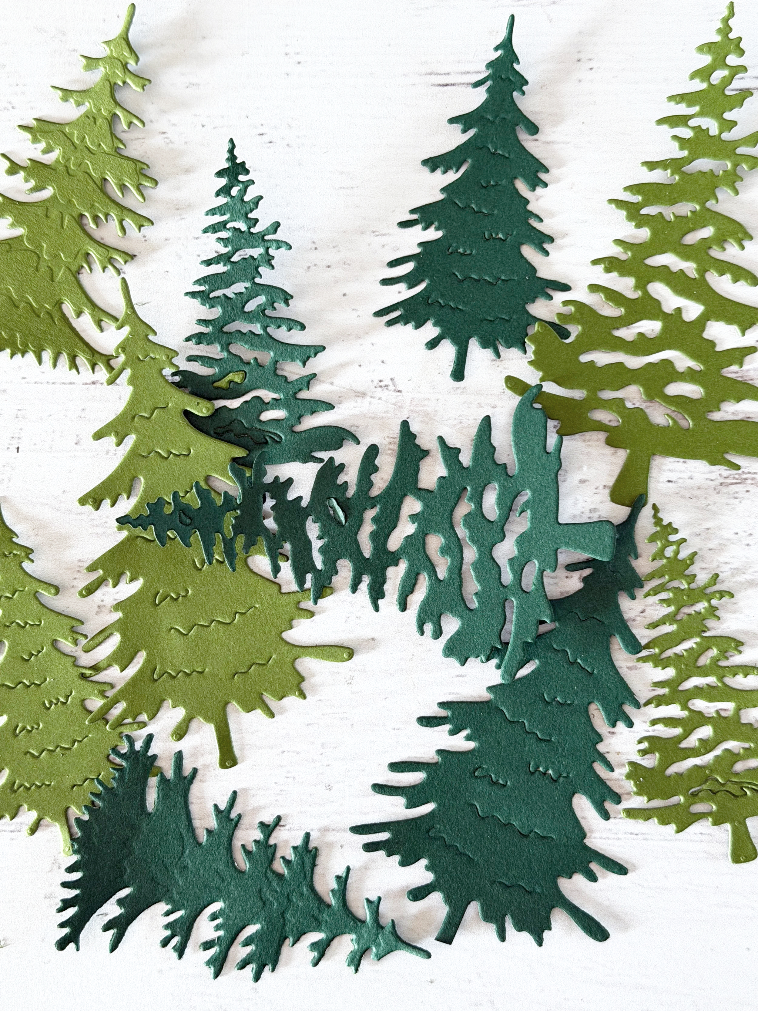Die Cuts: Woodland Trail
